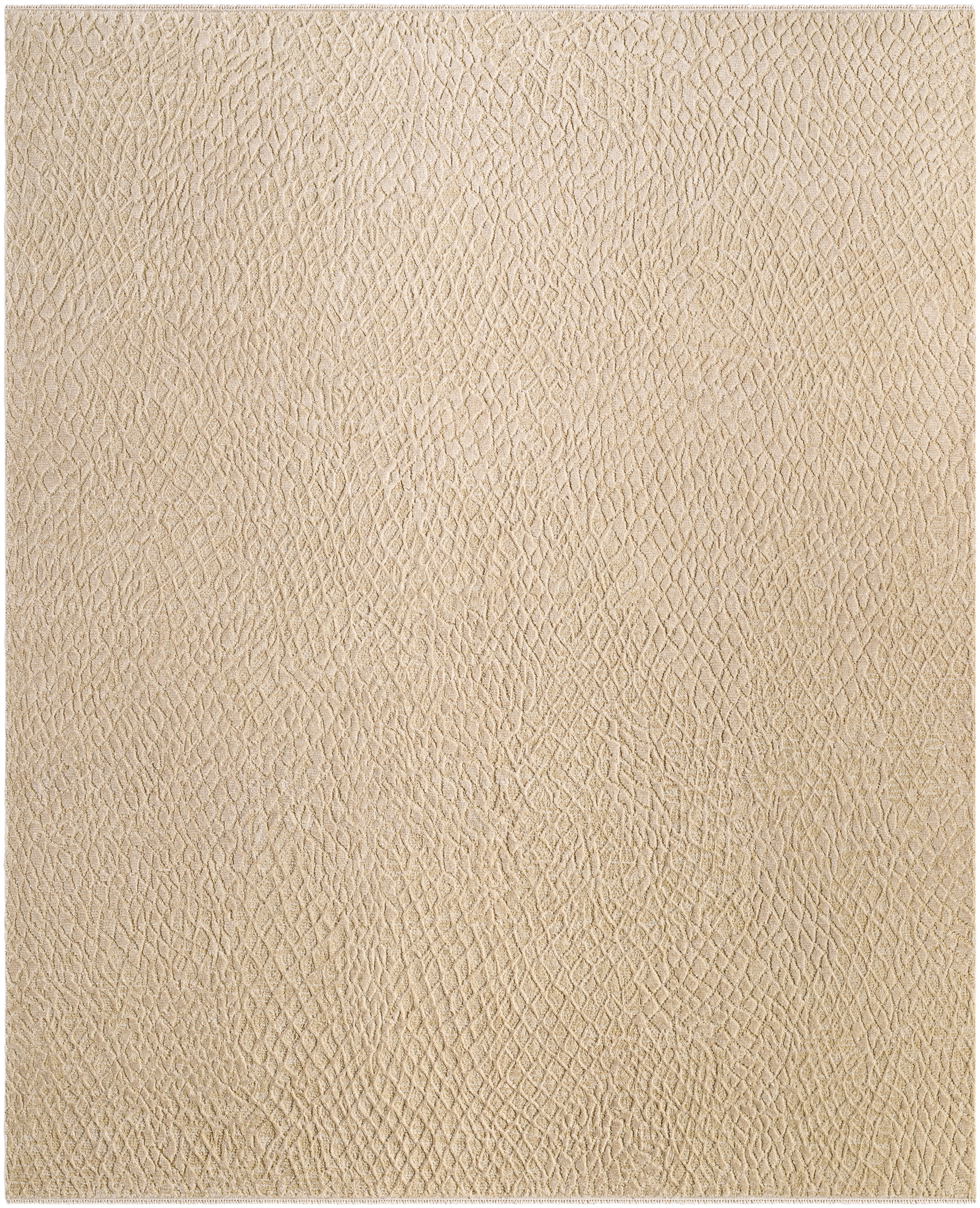 Reyyan Beige Indoor 2' x 3' Handmade Rug - Image 0