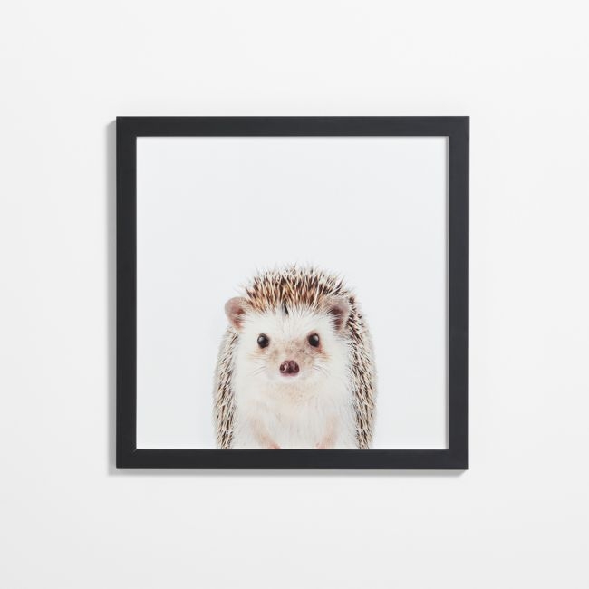 Baby Hedgehog Black Wood Framed Wall Art Print - Image 0