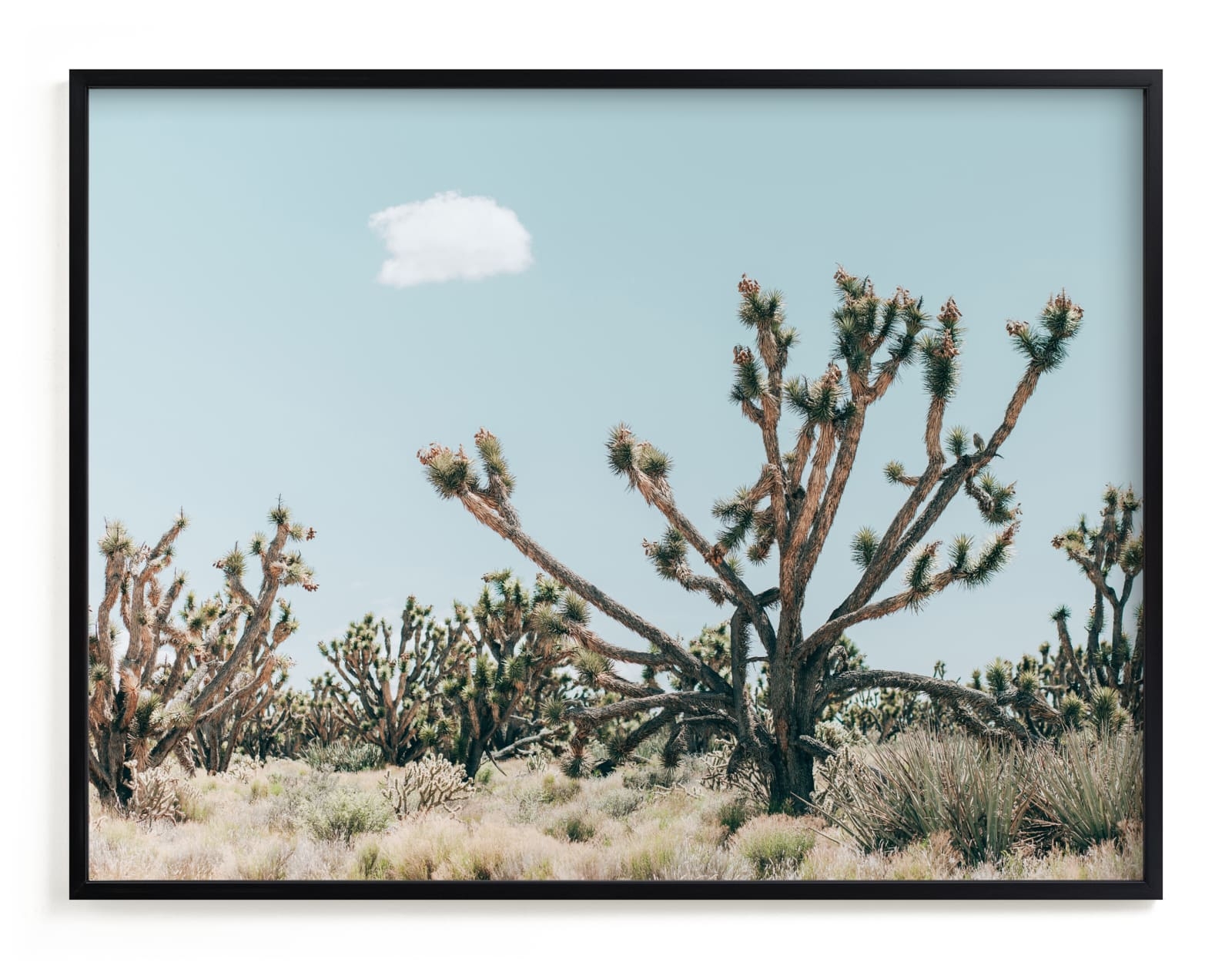 Josh Limited Edition Fine Art Print 2 - Image 0