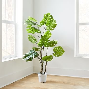 Faux Potted Monstera, 3' - Image 2