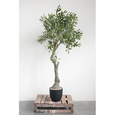 55'' Artificial Olive Tree in Pot - Image 0