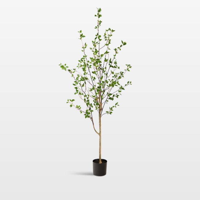 Faux Minimalist Citrus Tree 6.5' - Image 0