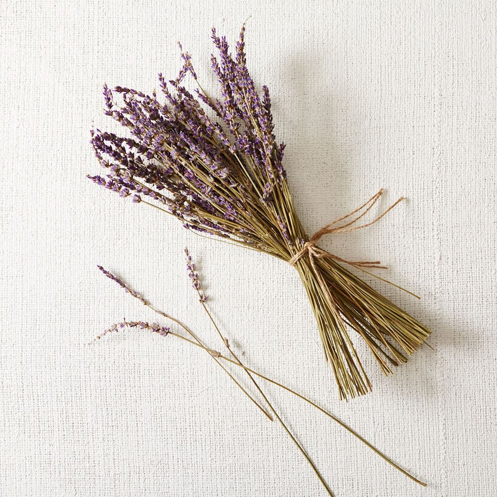 Lavender Bunch - Image 0