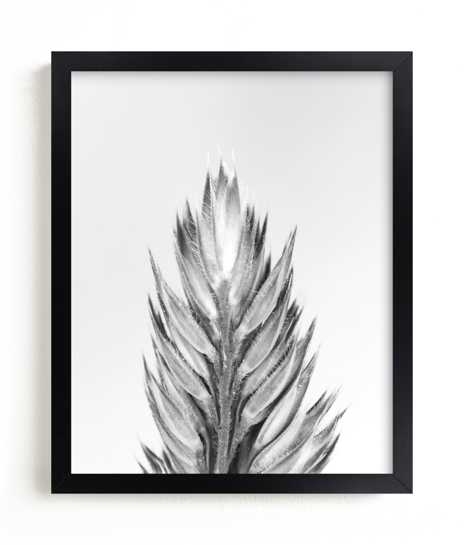 Proudly There Limited Edition Fine Art Print 2 - Image 0