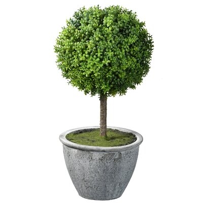 14" Artificial Boxwood Topiary in Planter - Image 0