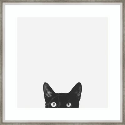 Curiosity (Cat) - Picture Frame Photographic Print on Paper - Image 0