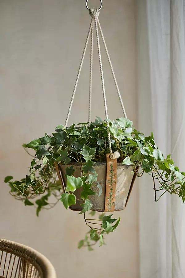 Embroidered Leather Plant Hanger - Image 0