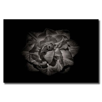 'Backyard Flowers In Black And White 81' - Photographic Print On Wrapped Canvas - Image 0