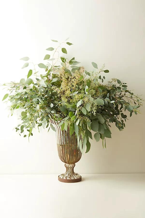 Fresh Assorted Eucalyptus Bunch - Image 0