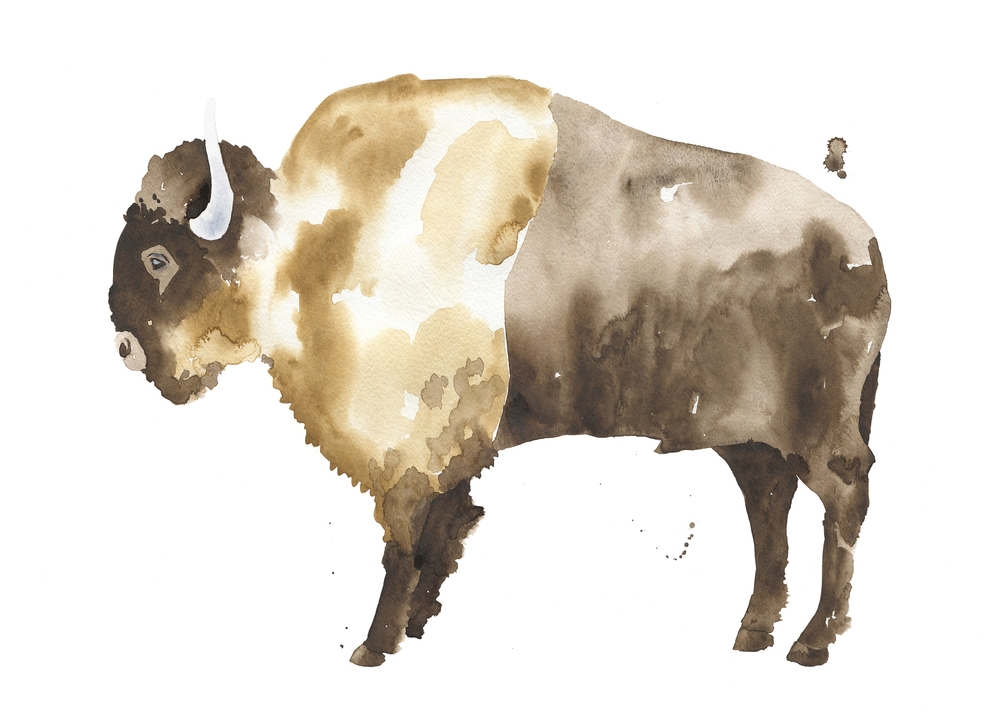 Bison Art Print by The Aestate - X-Large - Image 1