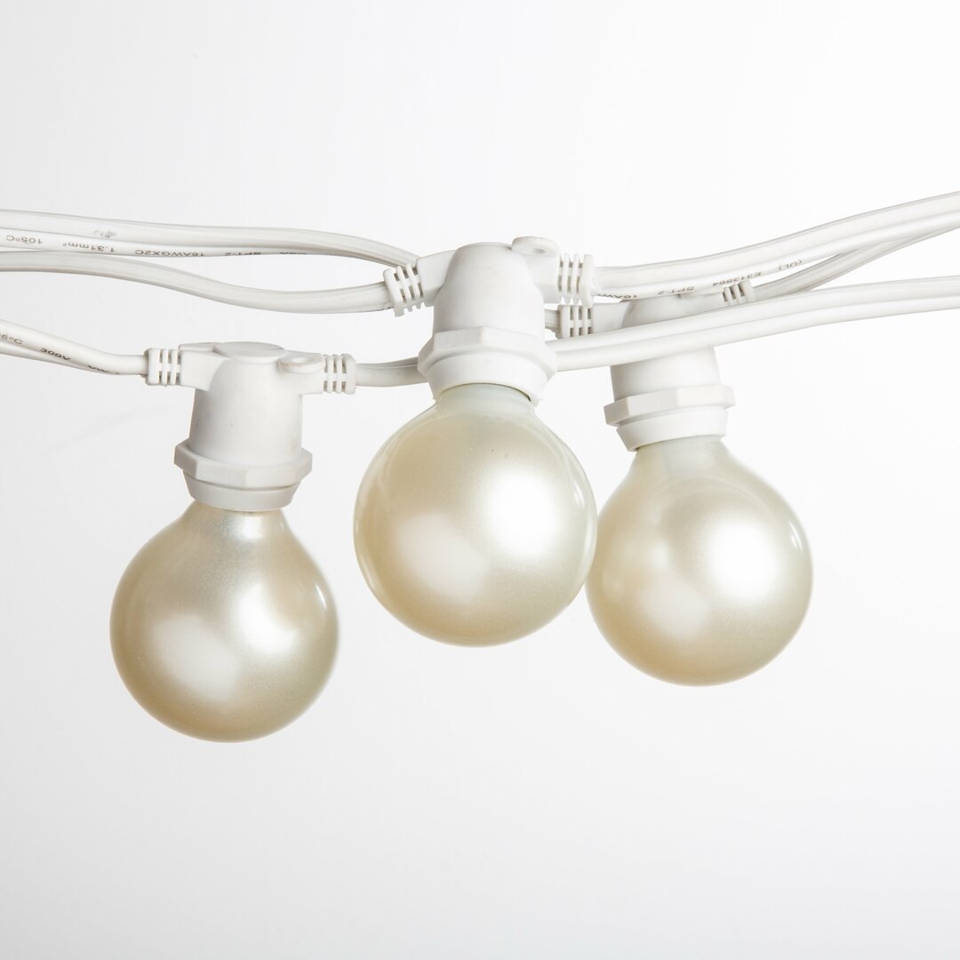 "Hometown Evolution, Inc. 25' Outdoor 20 - Bulb Globe String Light" - Image 0