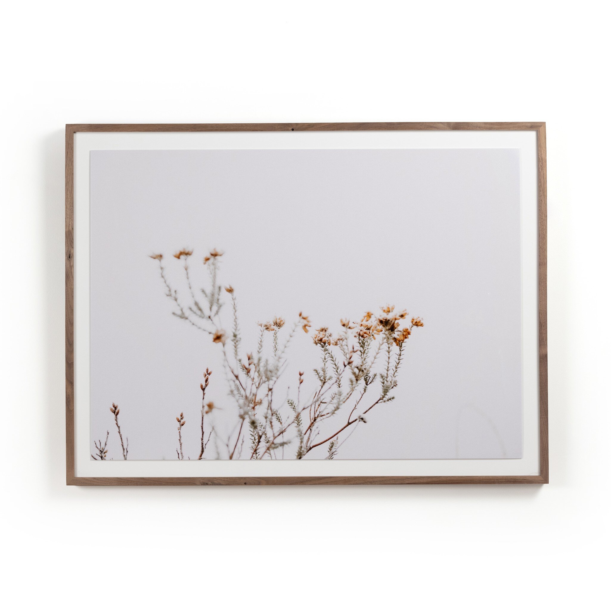 In The Details I by Annie Spratt - Rustic 2.5 Walnut - Image 0
