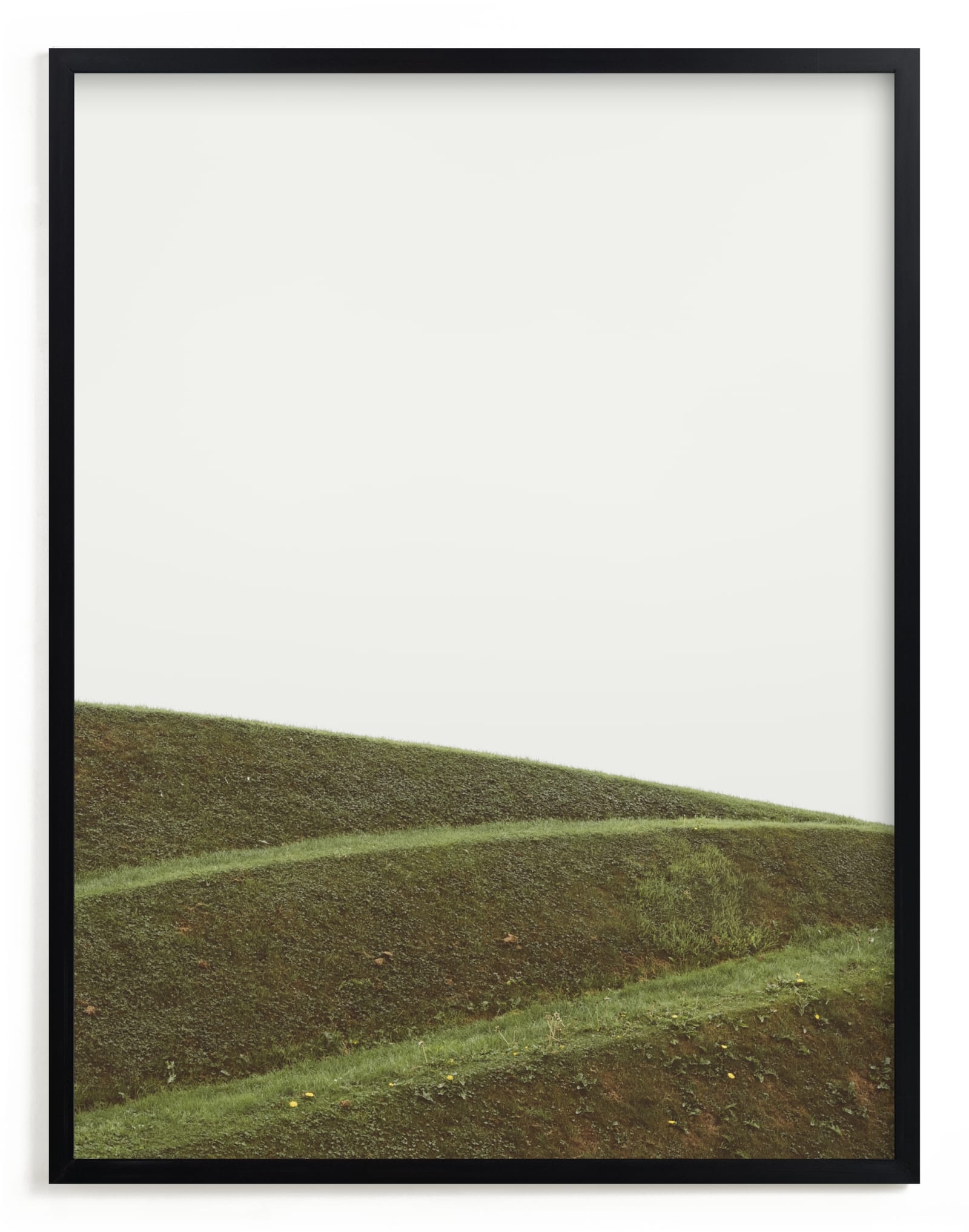 Swooped II Open Edition Fine Art Print - Image 0