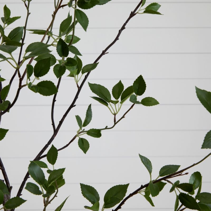 Faux Minimalist Citrus Tree 6.5' - Image 2