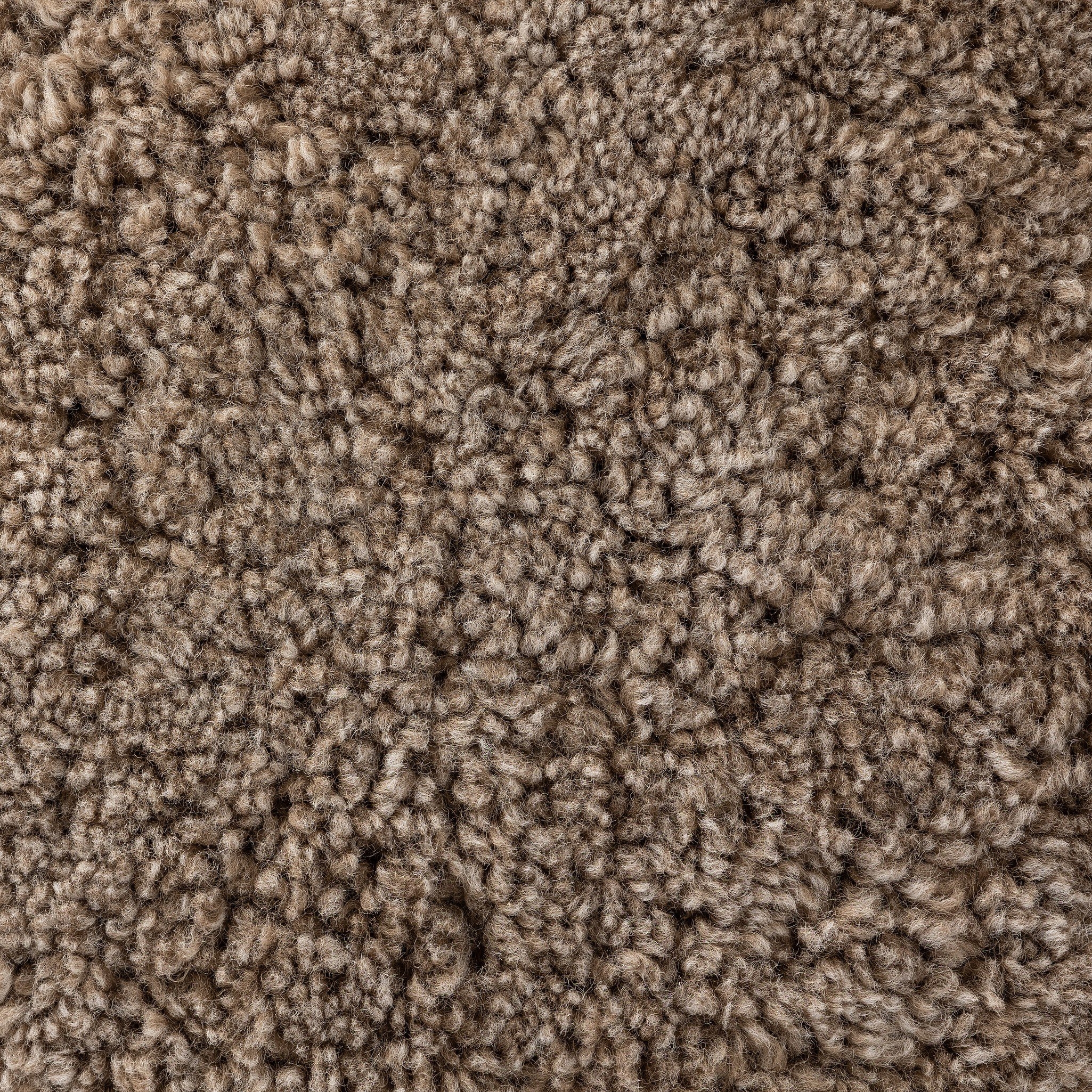 Saldino Bar + Counter Stool - Taupe Shearling - Image 3