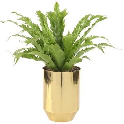 Copper Table 8 Inch Rose Gold Vase Indoor/Outdoor - Image 0