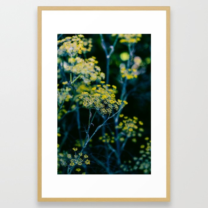 Dill Flower Framed Art Print by Olivia Joy St.claire - Cozy Home Decor, - Conservation Natural - LARGE (Gallery)-26x38 - Image 0