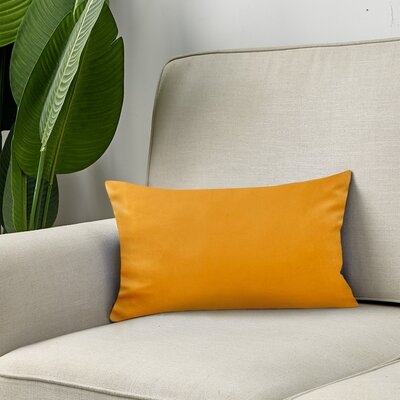 Hollaway Rectangular Velvet Pillow Cover & Insert - Image 0