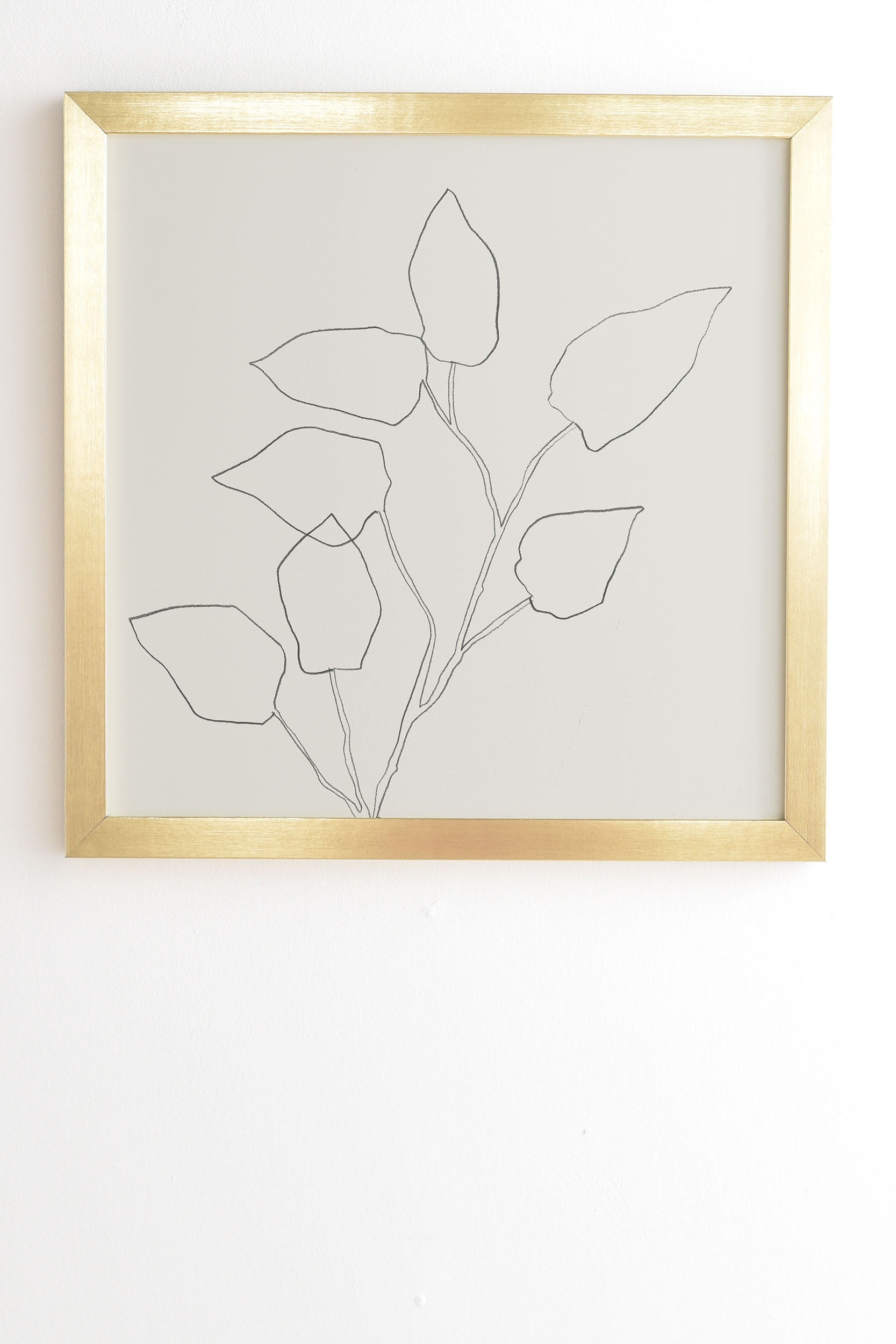 Floral Study No 5 by Megan Galante - Framed Wall Art Basic Gold 30" x 30" - Image 1
