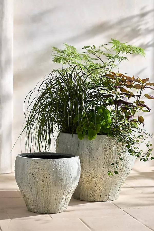 Barnacle Fiber Concrete Curved Jar Planter - Image 0