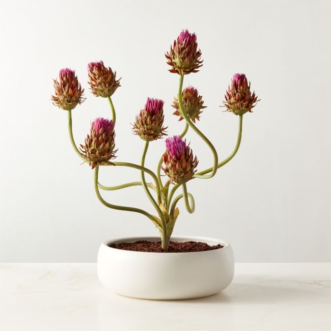 Faux Potted Thistle Plant in White Ceramic Pot 26" - Image 0