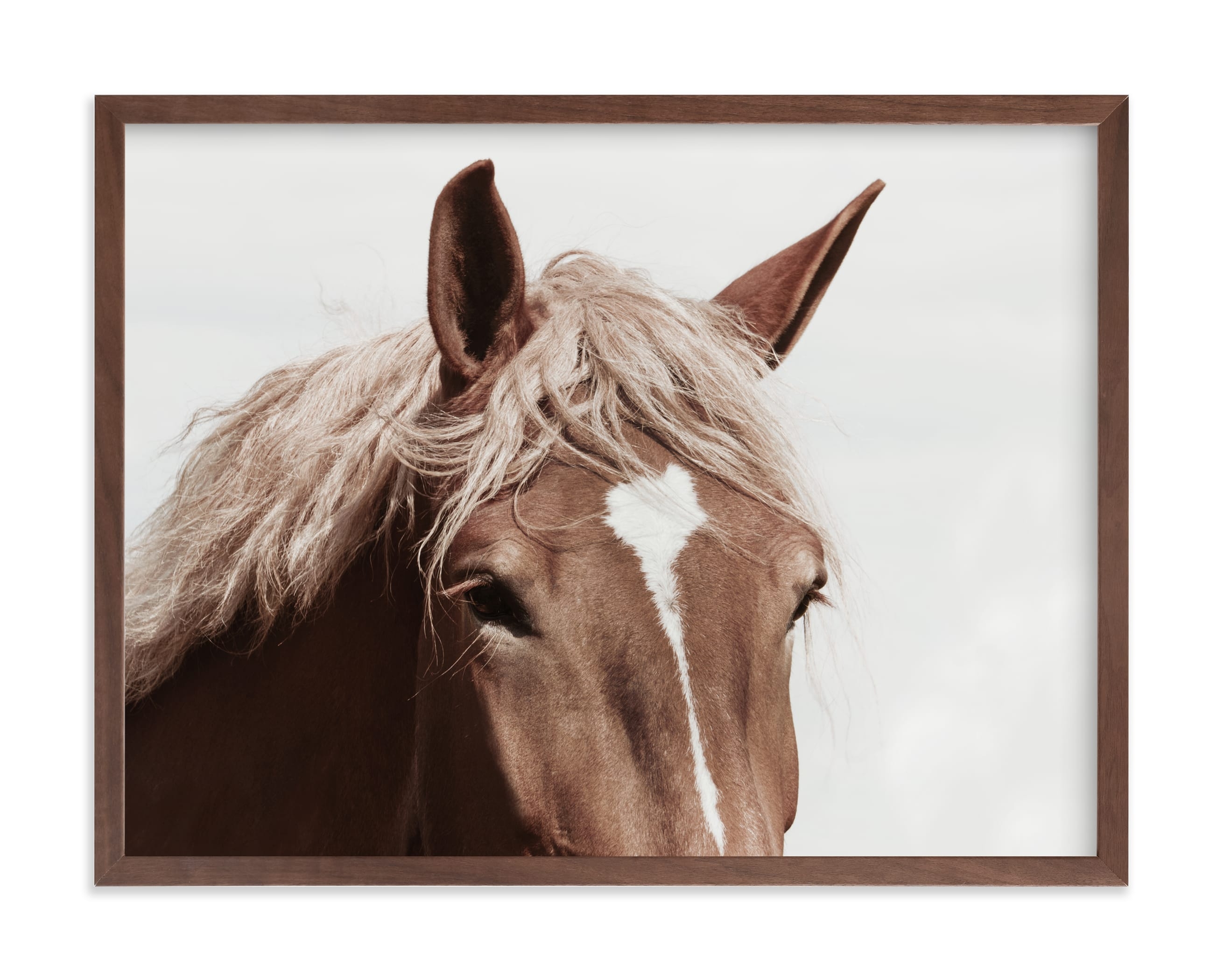Belgian Beauty Limited Edition Fine Art Print 2 - Image 0