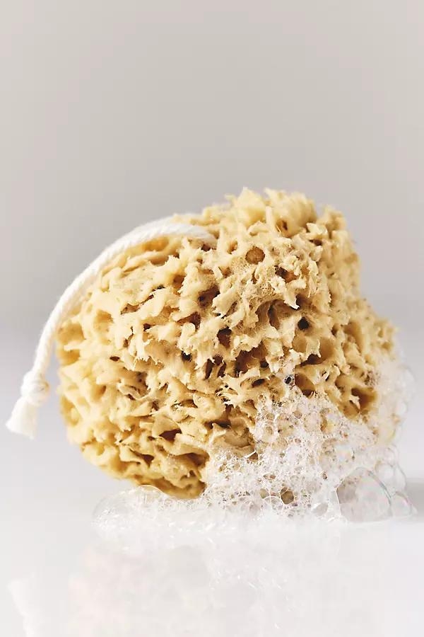 Mineral Sea Sponge - Image 0