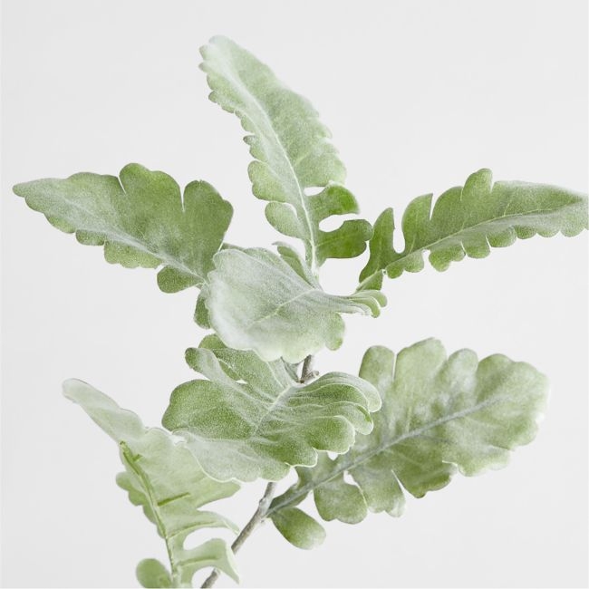 Dusty Miller Faux Stem - Image 0