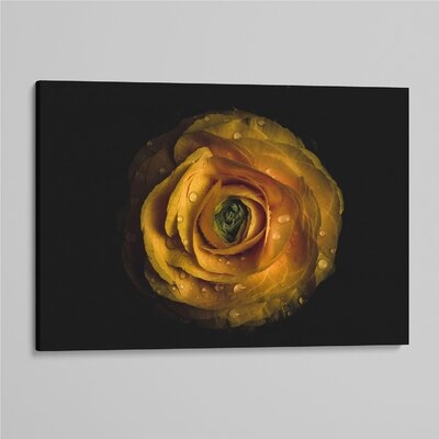 'Backyard Flowers 72 ' - Photographic Print On Wrapped Canvas - Image 0