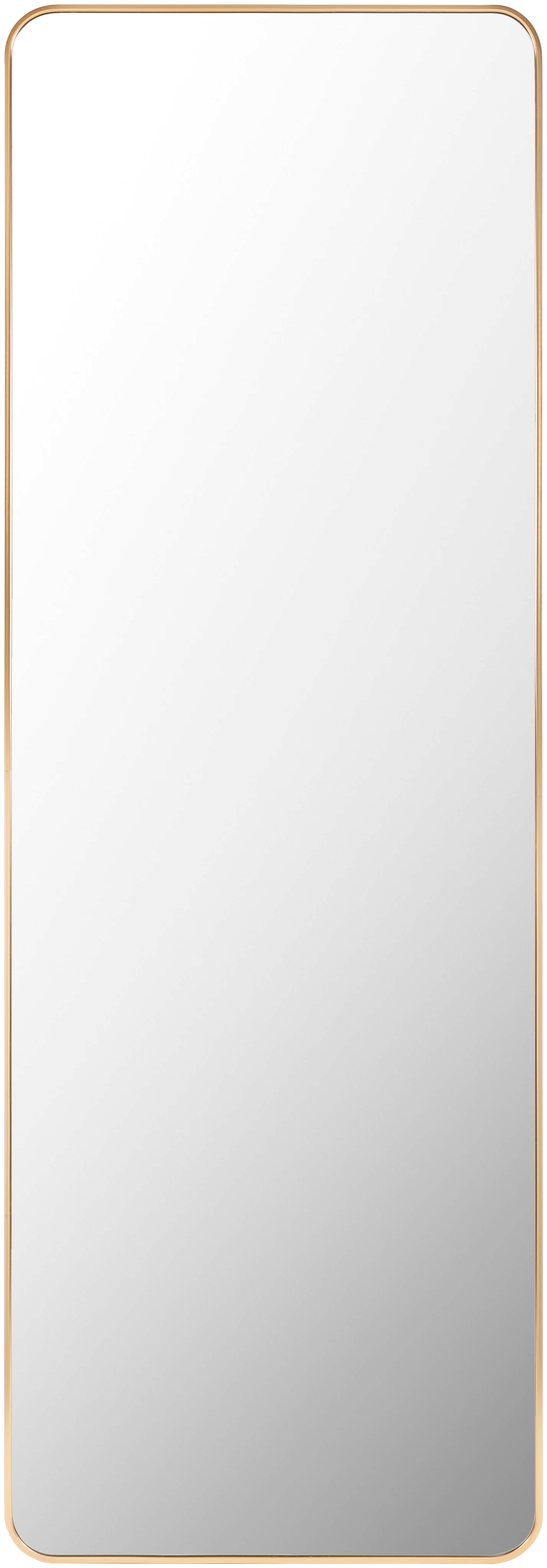 Aranya Gold 65"H x 22"W x 1"D Full Length Mirror - Image 0