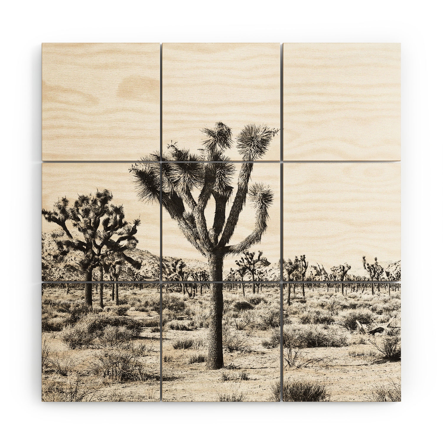 Joshua Trees by Bree Madden - Wood Wall Mural3' X 3' (Nine 12" Wood Squares) - Image 0