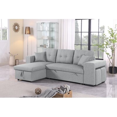 Sectional Sleeper Sofa With Storage - Image 0