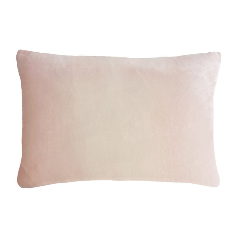 Kevin O'Brien Studio Velvet Throw Pillow Color: Blush, Size: 14" x 20" - Image 0