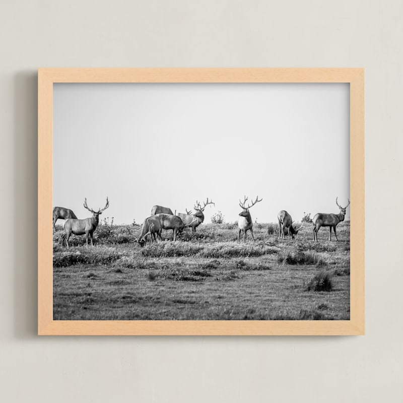 Tule Elk Limited Edition Fine Art Print 2 - Image 0