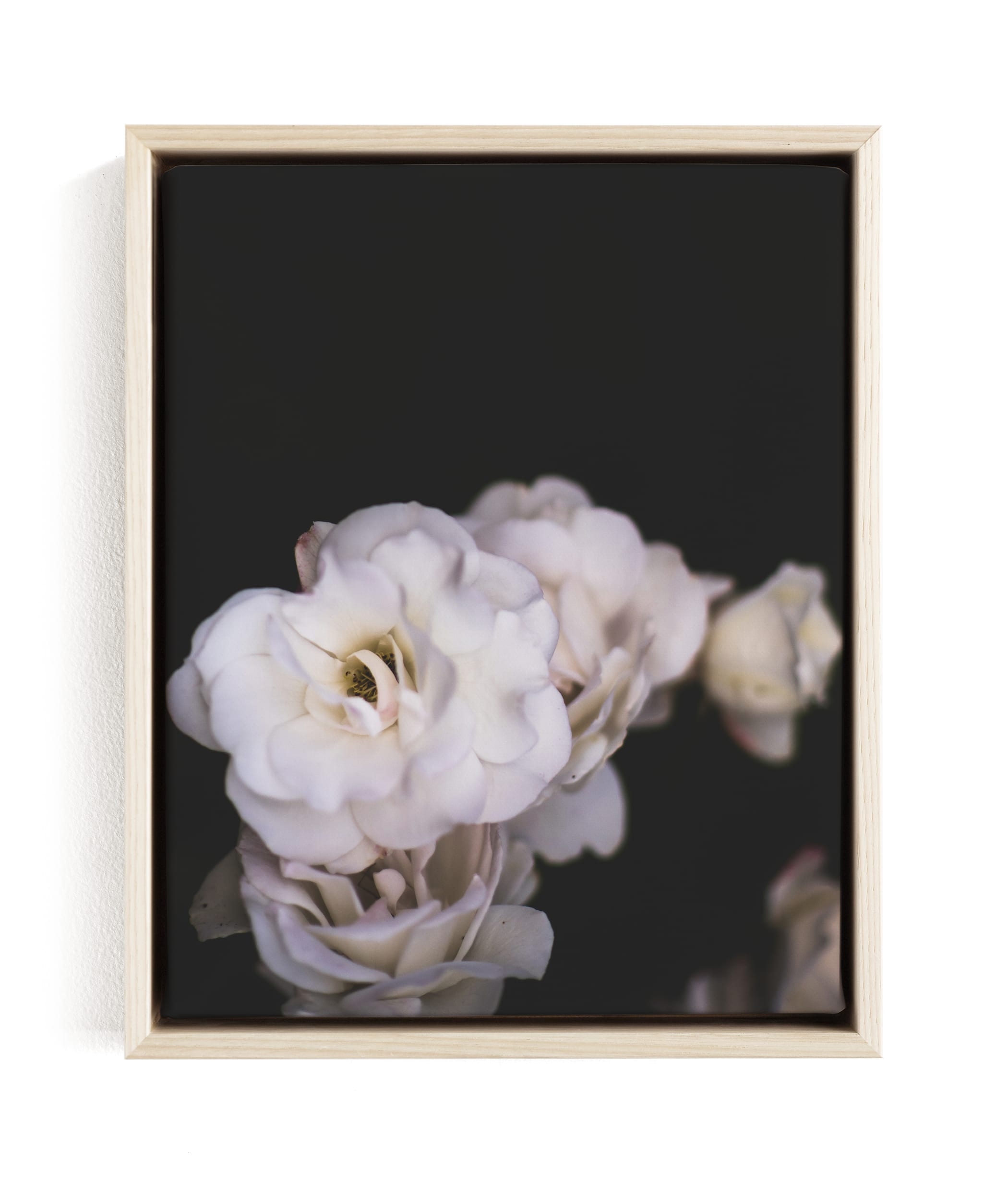Midnight Bloom Limited Edition Fine Art Print 1 - Image 0