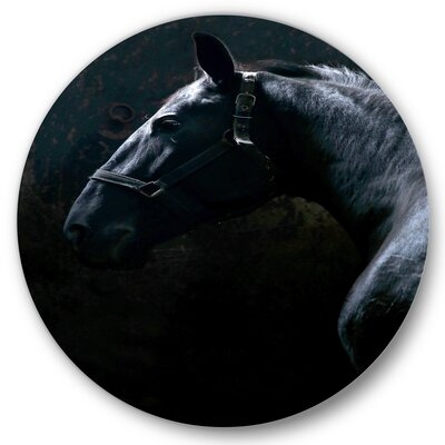 Portrait Of Thoroughbred Nonius Stallion Horse II - Farmhouse Metal Circle Wall Art - Image 0