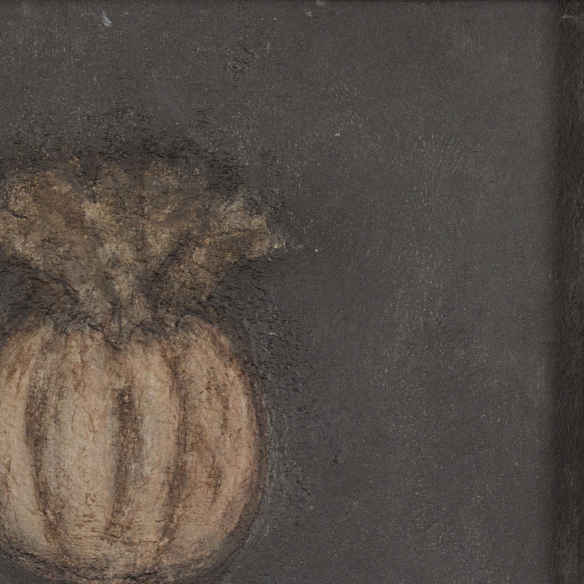 Poppy Noche by Paul Meyer - Rustic Walnut Floater - Image 3