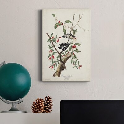 Pl. 112 Downy Woodpecker Premium Gallery Wrapped Canvas - Ready To Hang2719510 - Image 0