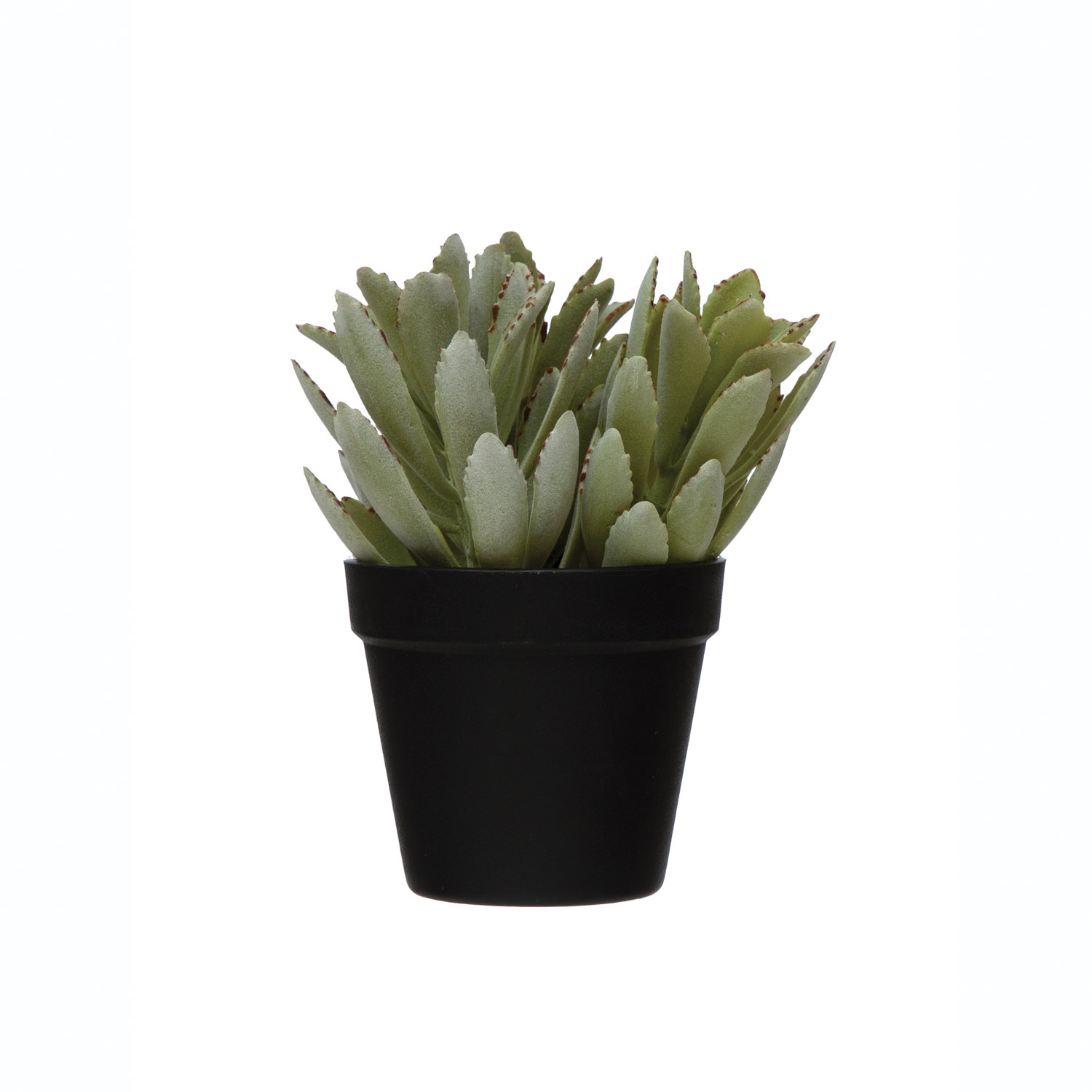 Faux Succulent in Pot - Image 0