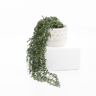 15.5" Artificial Succulent Plant in Pot - Image 0