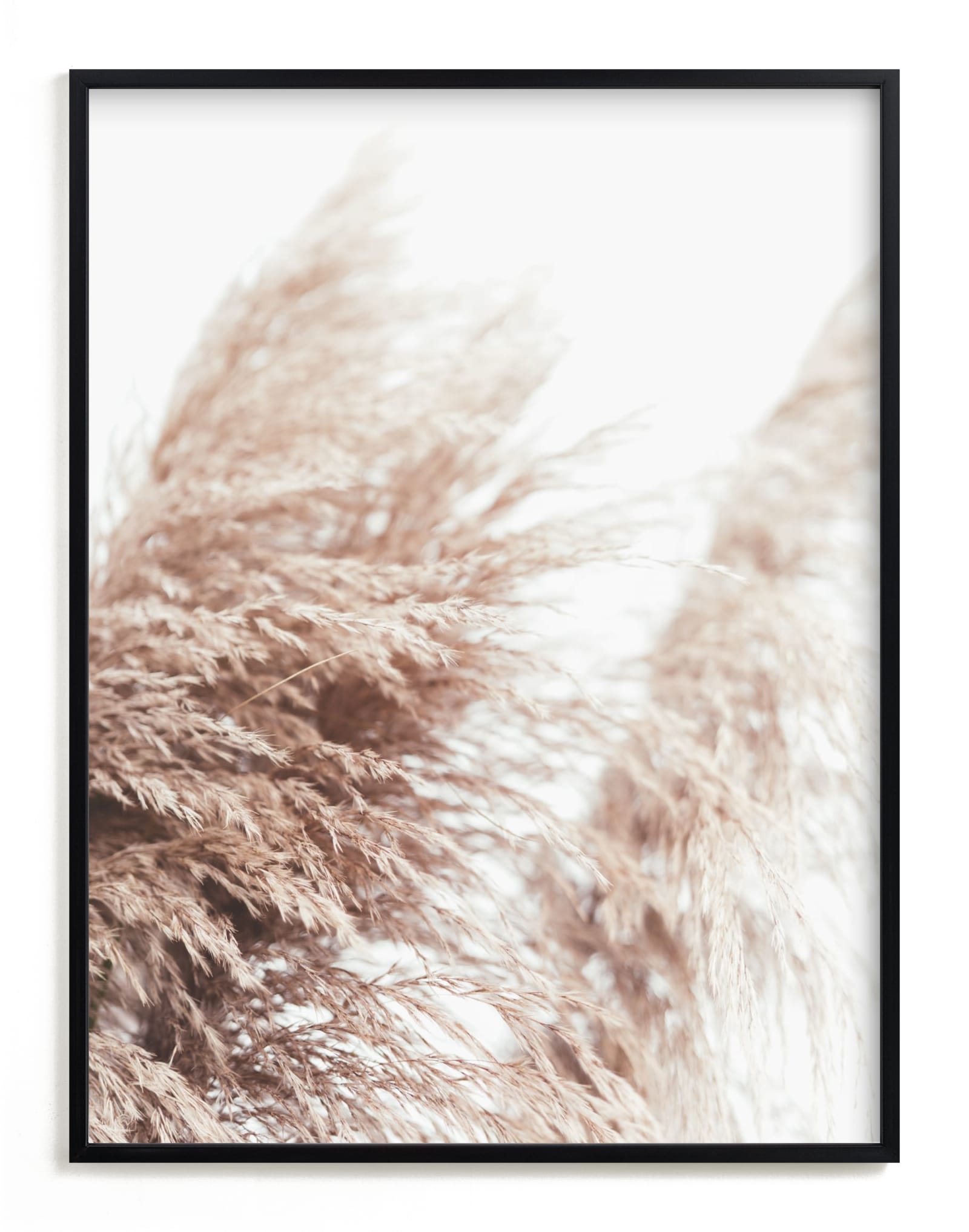 Samoa Field 1 Limited Edition Fine Art Print 2 - Image 0