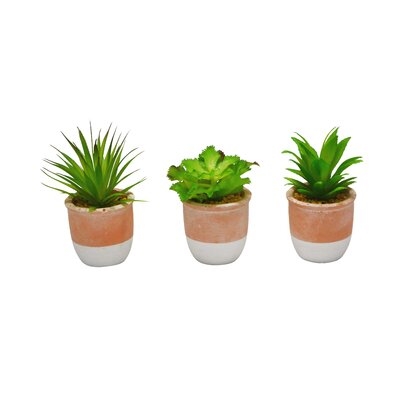 3" Artificial Succulent in Pot - Image 0