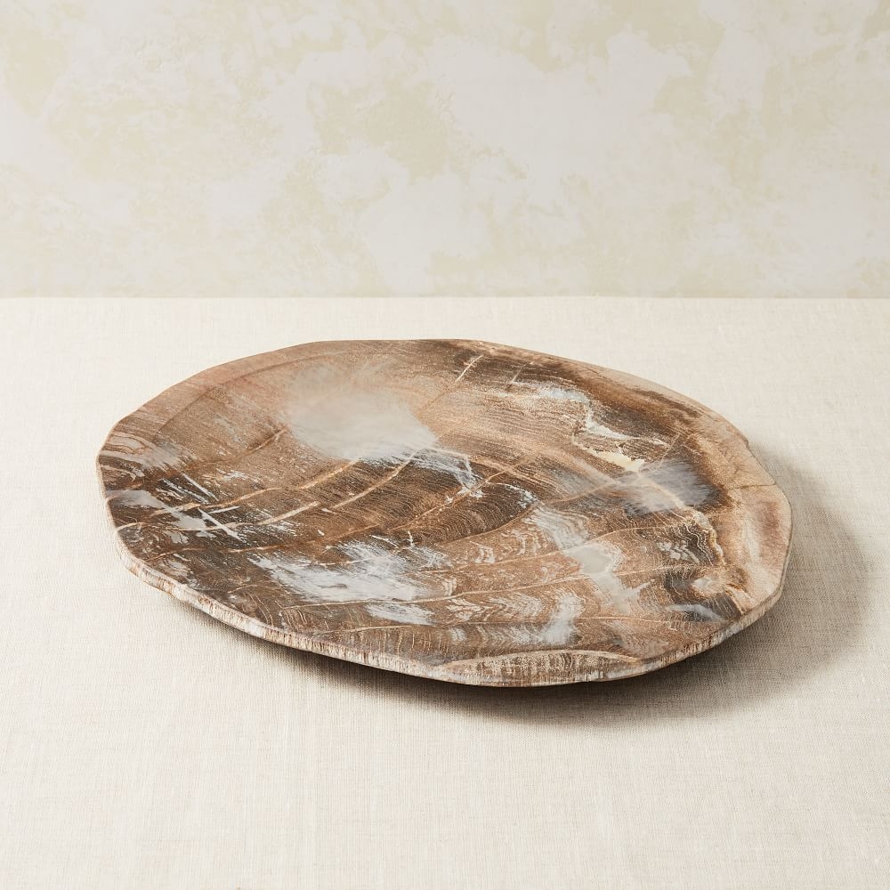 Petrified Wood Tray, Large - Image 0