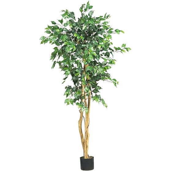 Faux Potted Ficus Tree, 5' - Image 0