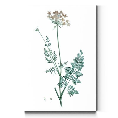 Soft Green Botanical V - Wrapped Canvas Print - Image 0