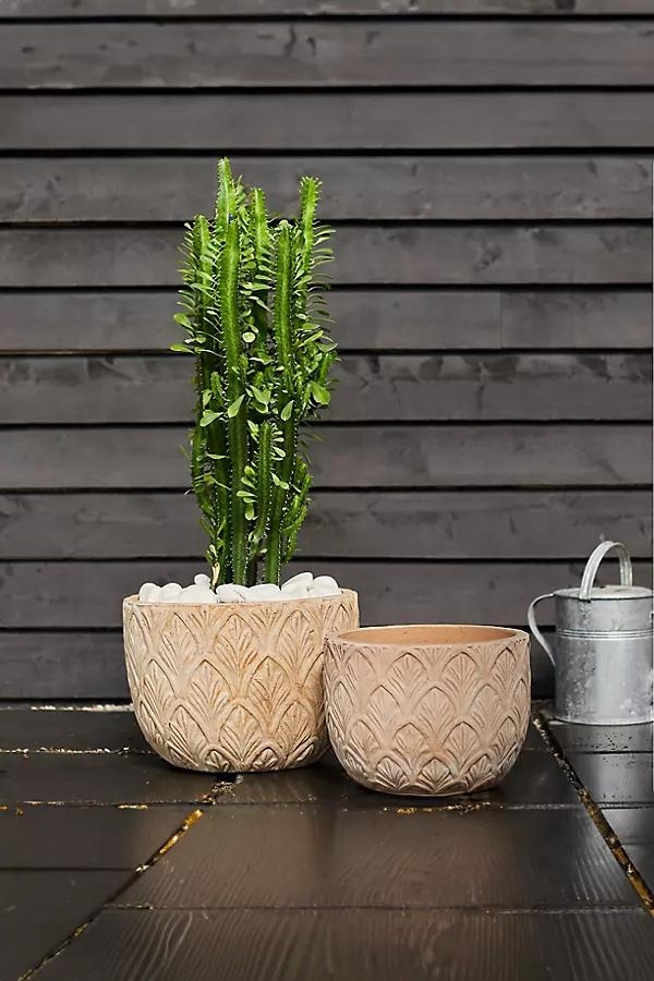 Paloma Ceramic Bowl Planter, 15" - Image 0