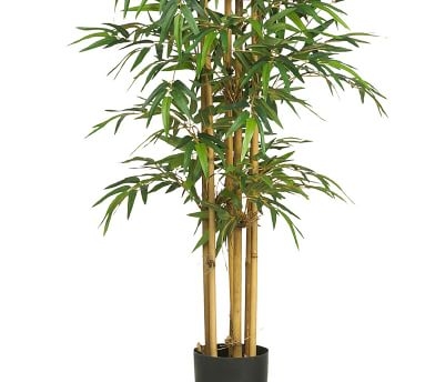 Faux Bamboo Silk Tree, 75" - Image 2