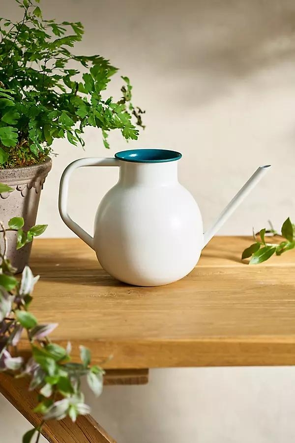 Colorful Enamel Watering Can, White + Green - Image 0