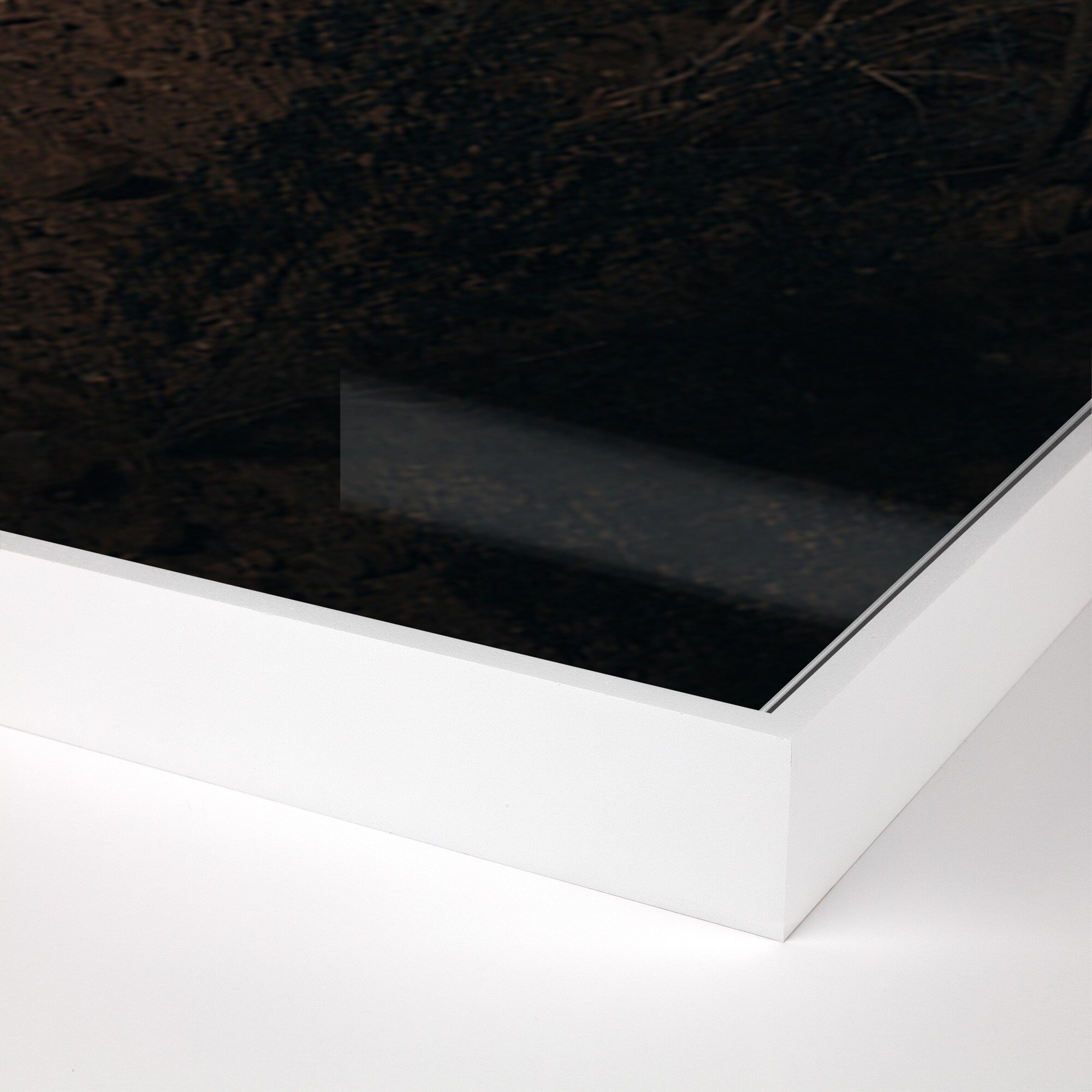 Ocotillo II by Mandy Steinback - White Maple Floater - Image 1