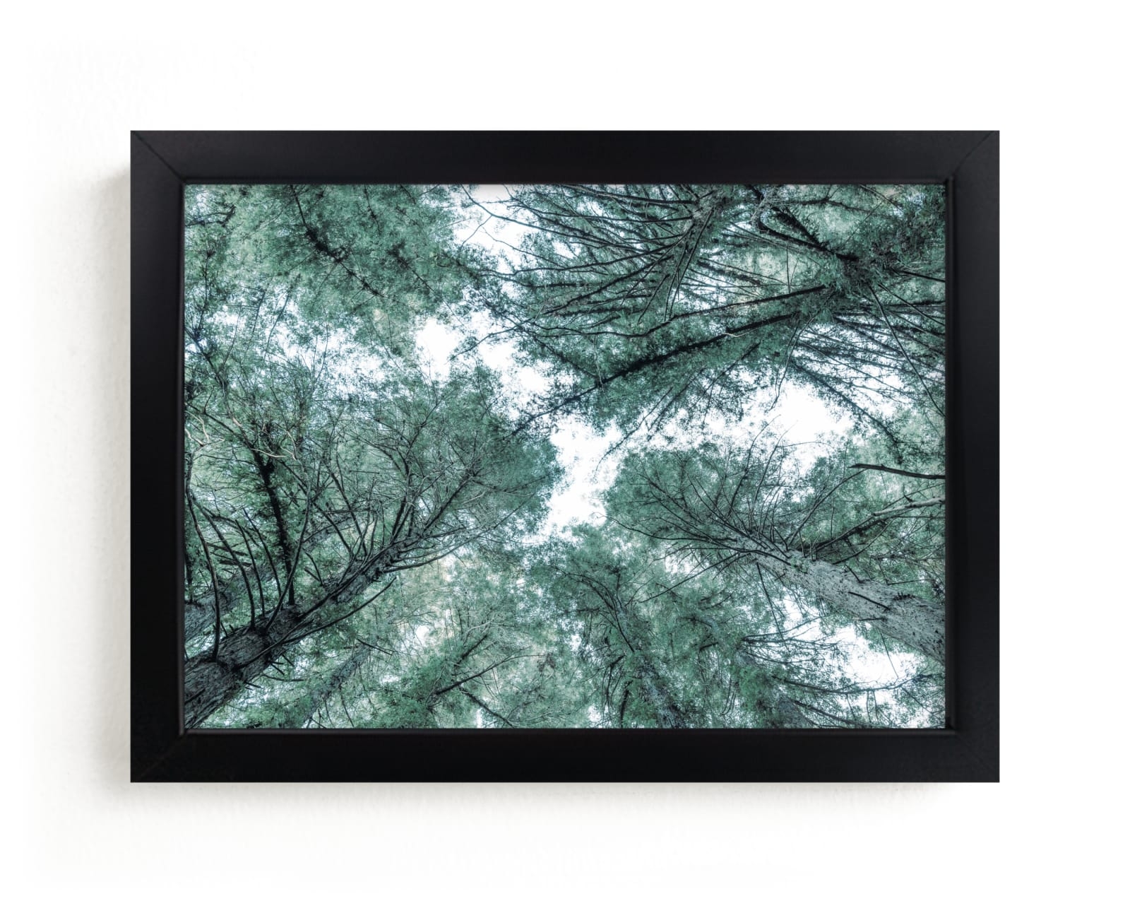 Mystifying Forest Limited Edition Fine Art Print 2 - Image 0